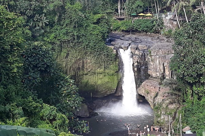 Ubud Waterfall Swing And Spring Temple Private Guided Tour - A Private Ubud Day That Packs Water, Temples, and Swings