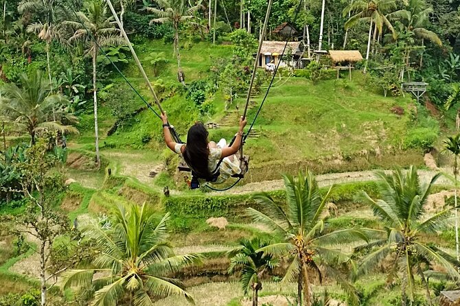 Ubud Waterfall Swing And Spring Temple Private Guided Tour - Happy Swing Bali: A Viral Activity With a Guide-Managed Pace