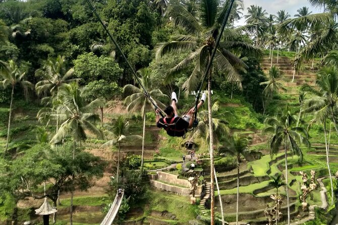 Ubud Waterfall Swing And Spring Temple Private Guided Tour - Tegalalang Rice Terrace Viewpoints and Guided Trekking