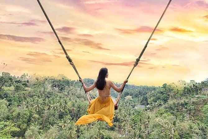 Ubud Waterfalls, Rice Terrace & Jungle Swing - Private Tour - What’s included (and what you should budget for)