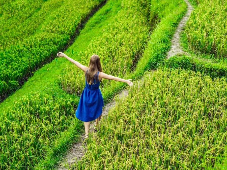 Ubud: Waterfalls, Sacred Monkey Forest & Rice Terraces Tour - Key things that make this tour worth your time