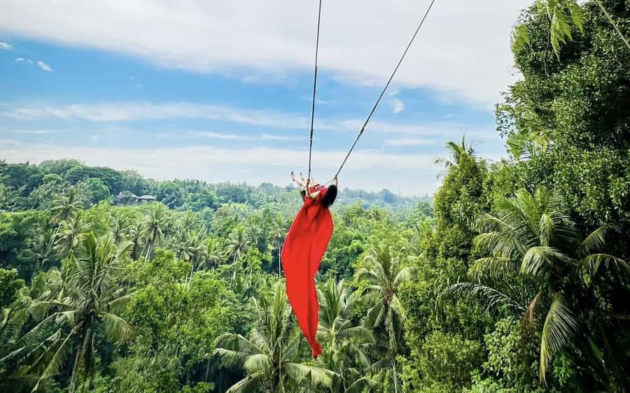Ubud: Waterfalls, Sacred Monkey Forest & Rice Terraces Tour - What if something changes, like the Monkey Forest?