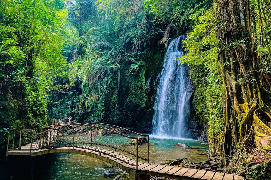 Ubud: Waterfalls, Sacred Monkey Forest & Rice Terraces Tour - How a $19 private day in Ubud works