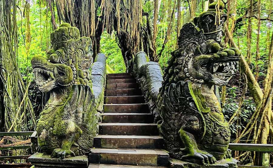 Ubud: Waterfalls, Sacred Monkey Forest & Rice Terraces Tour - Lunch at Waroeng De Koi: don’t overthink it