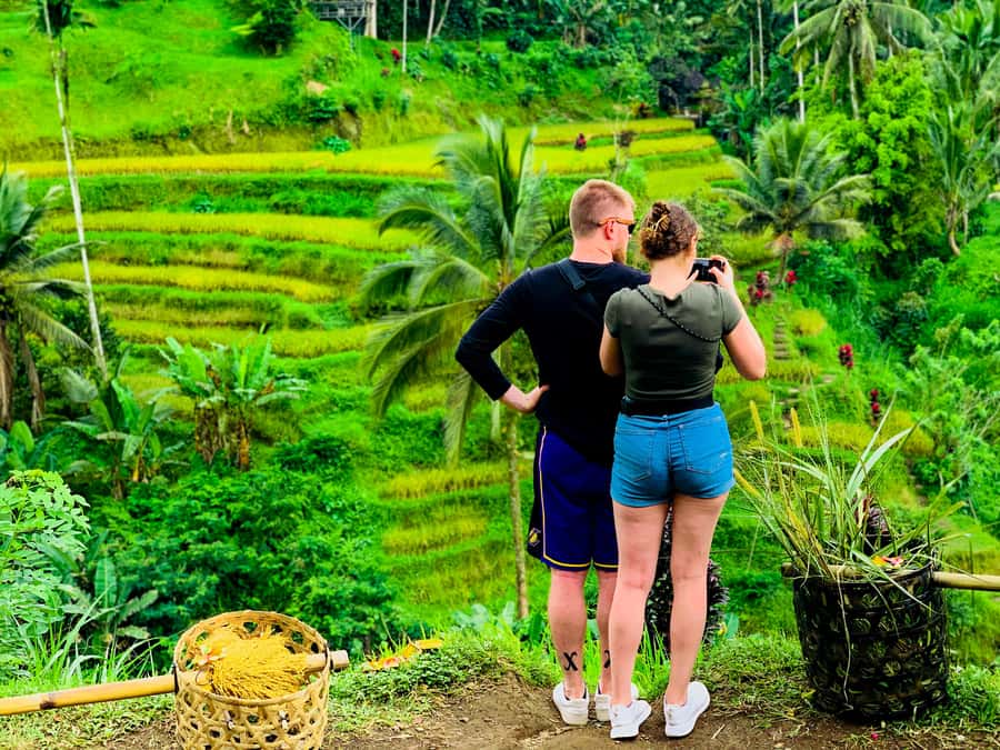 Ubud: Waterfalls, Sacred Monkey Forest & Rice Terraces Tour - Pemulan Bali coffee plantation: taste first, then understand