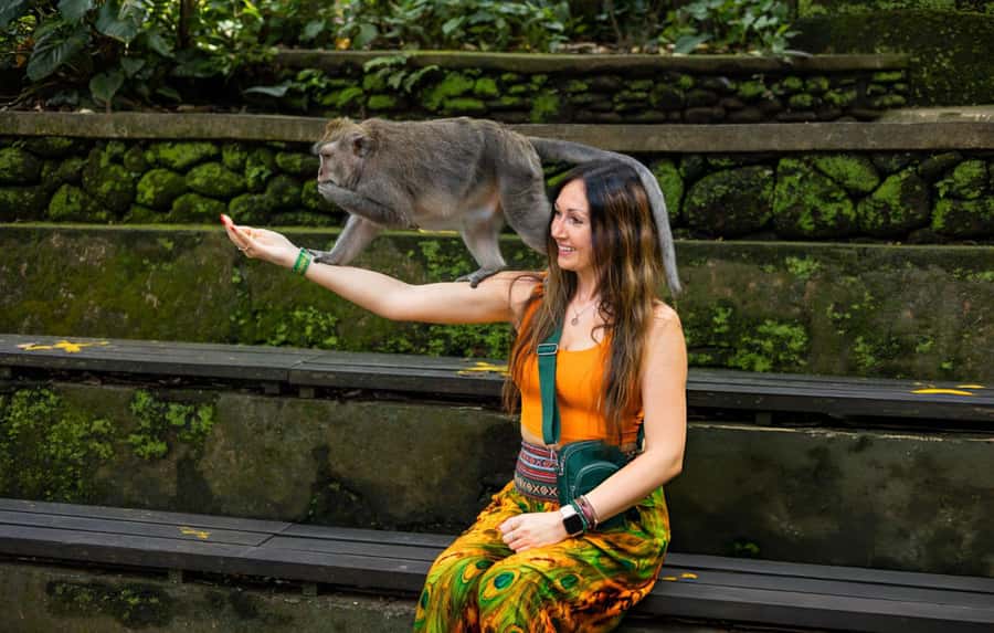 Ubud: Waterfalls, Temple, Monkey Forest Private Tour - Key highlights worth planning for