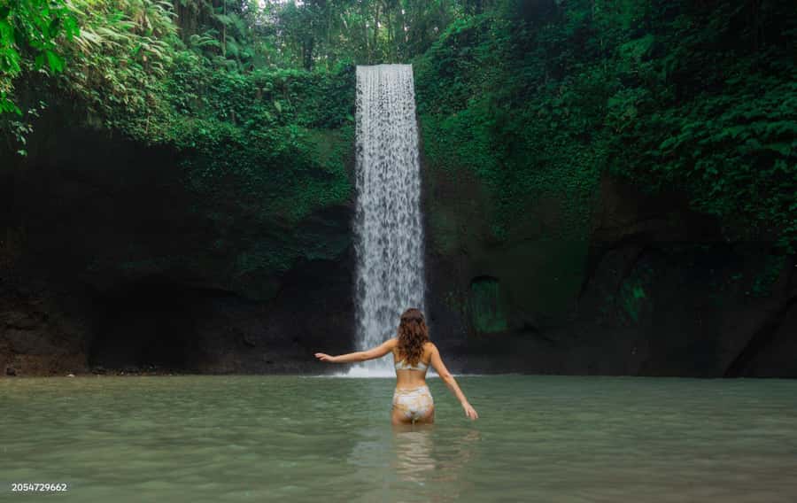 Ubud: Waterfalls, Temple, Monkey Forest Private Tour - How the Private Ubud Loop Runs From Pickup to Drop-off