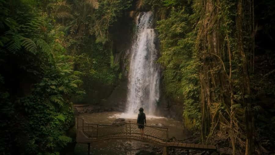 Ubud: Waterfalls, Temple, Monkey Forest Private Tour - Waterfalls in Tibumana and Ulu Petanu: Walk, Photo, Reset