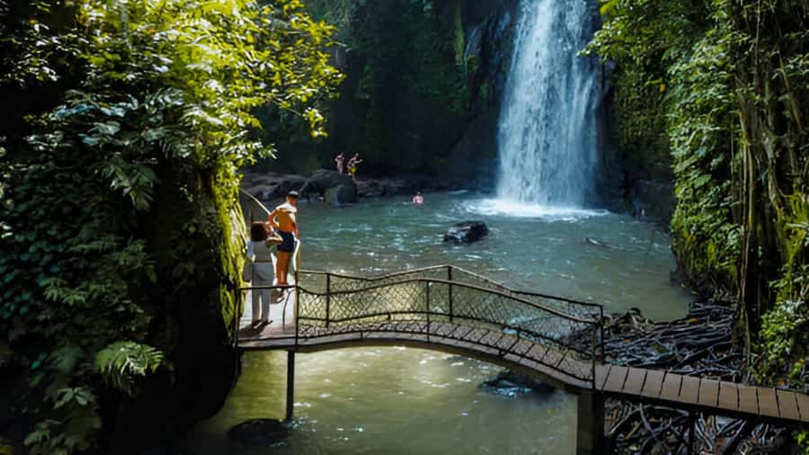 Ubud: Waterfalls, Temple, Monkey Forest Private Tour - Coffee Plantation Stop and Lunch: A Real Break in the Middle