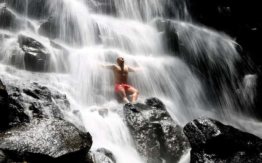 Ubud: Waterfalls, Temple & Rice Terraces Private Tour - How the day flows with pickup, private driving, and pacing