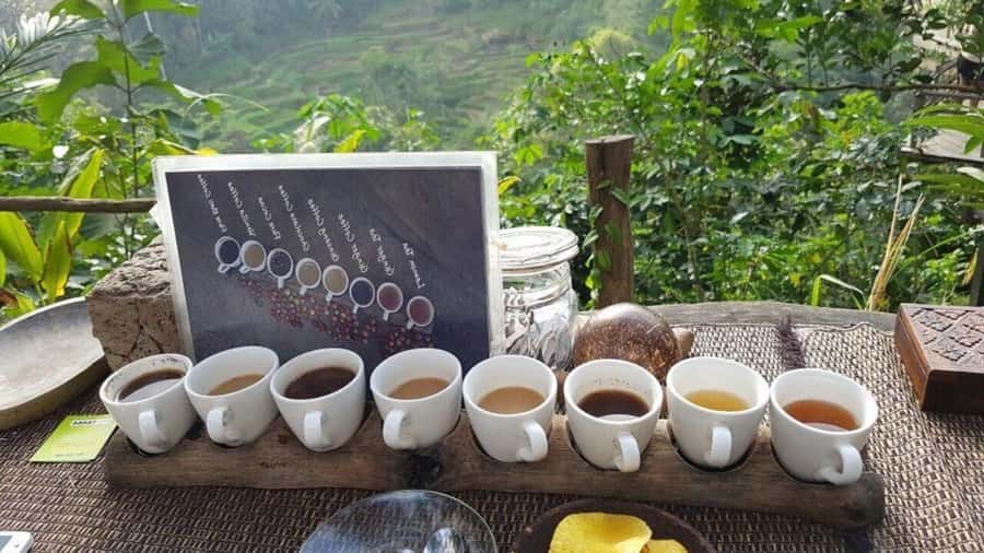 Ubud: Waterfalls, Temple & Rice Terraces Private Tour - Practical tips: what to wear, photo rules, and weather reality
