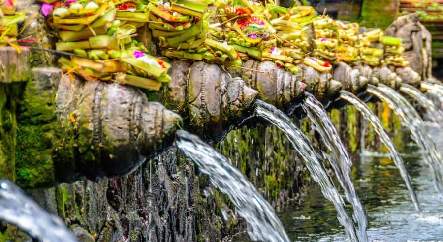 Ubud: Waterfalls, Temple & Rice Terraces Private Tour - Who this tour suits best (and who should skip it)