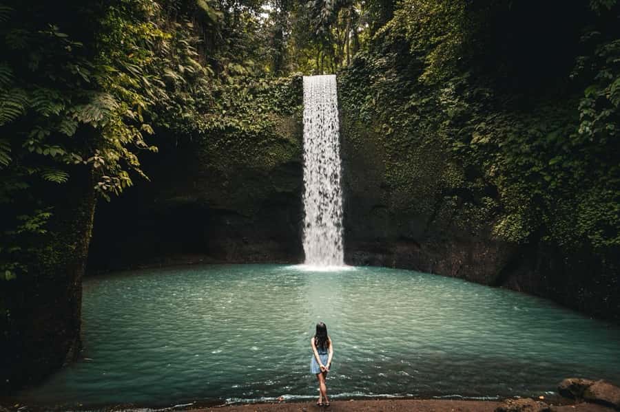 Ubud: Waterfalls & Temple with Rice Terrace Small-Group Tour - Key Highlights to Know Before You Go