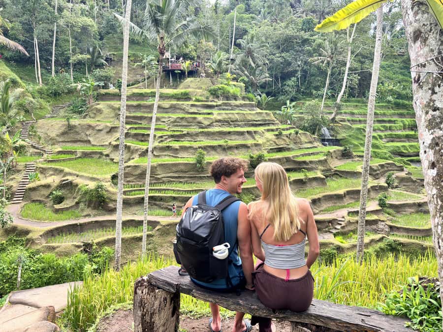 Ubud: Waterfalls, Water Temple & Rice Terraces Private Tour - Key highlights worth knowing before you go