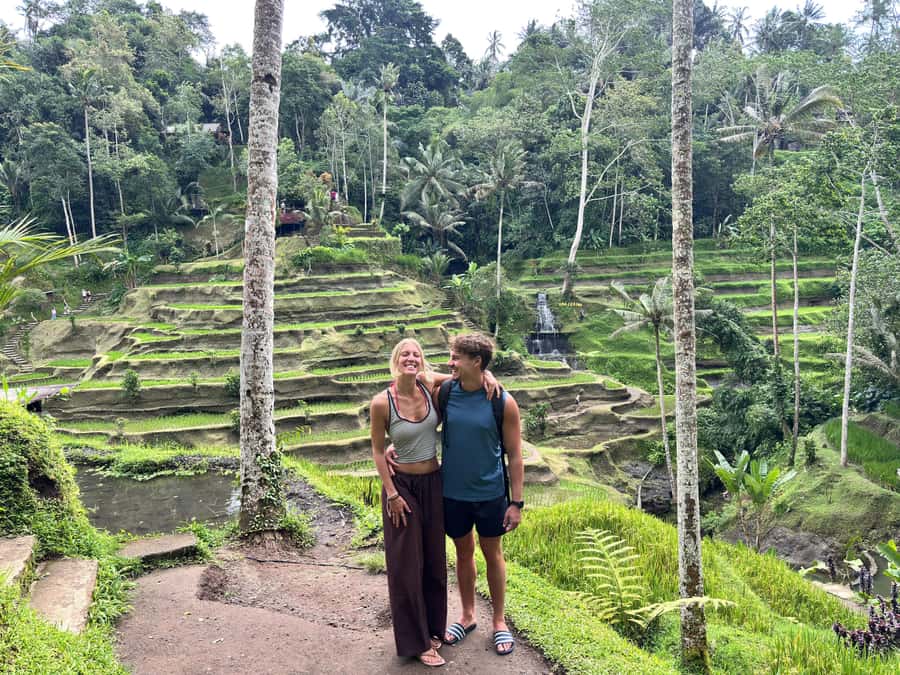Ubud: Waterfalls, Water Temple & Rice Terraces Private Tour - Price and What the $29 Private Tour Really Buys