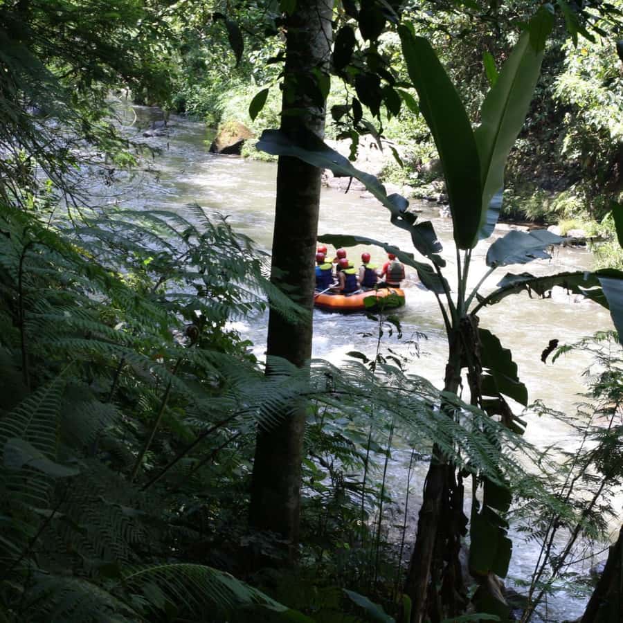 Ubud: White Water Rafting Adventure Tour - Key highlights at a glance