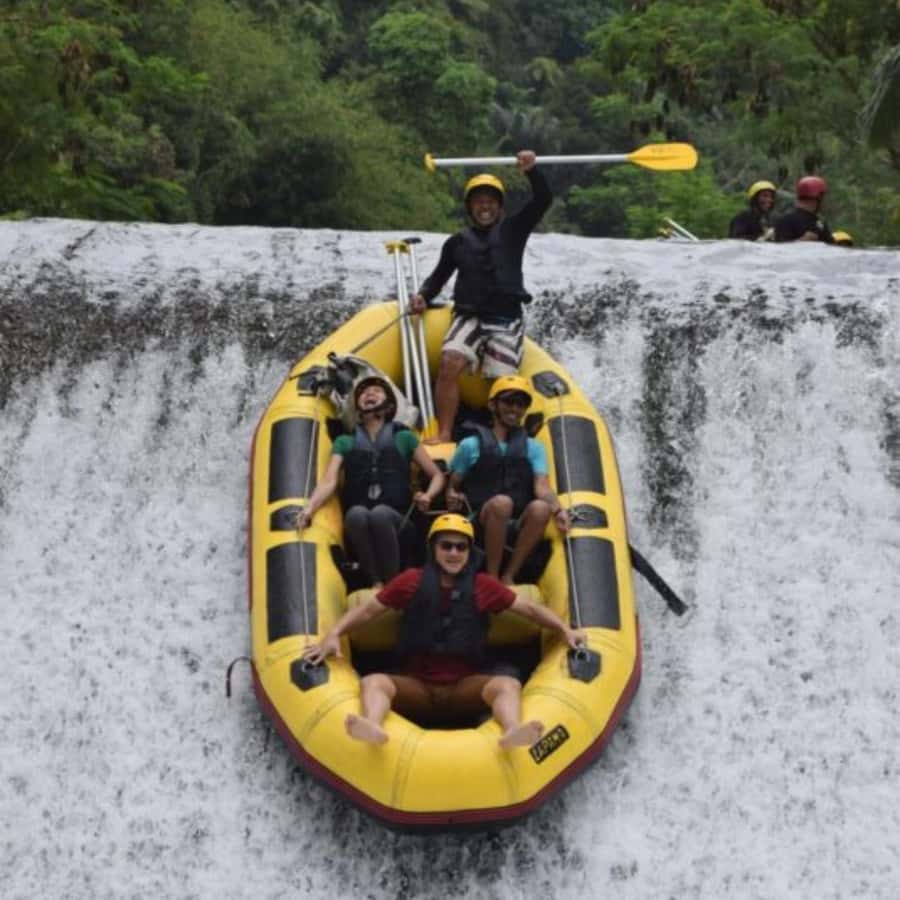 Ubud: White Water Rafting Adventure Tour - The rafting run: class II and III rapids through jungle scenery