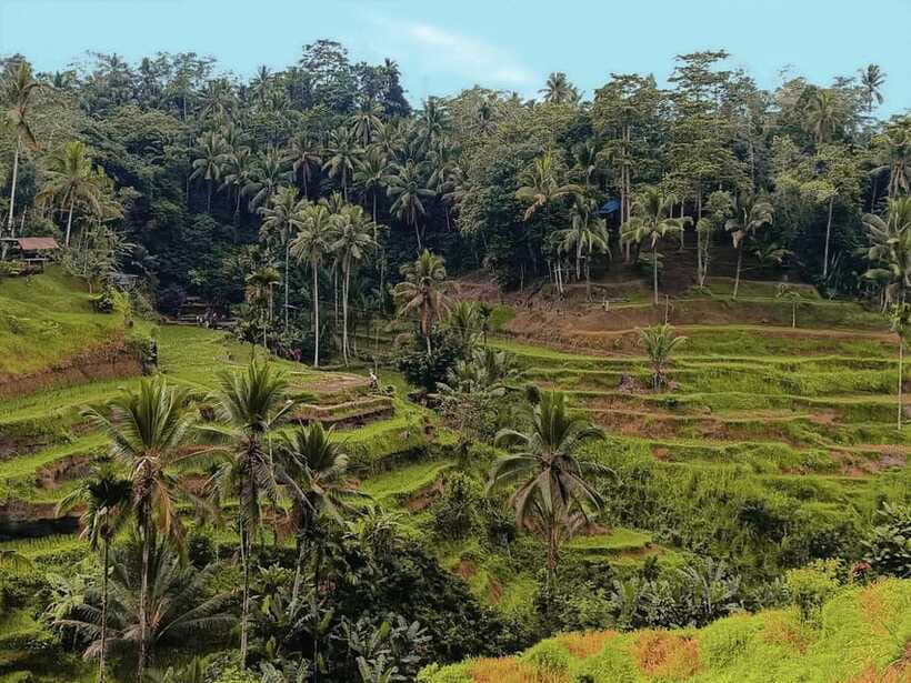 Ubud White Water Rafting with Lunch Included - Who This Tour Fits Best (And Who Should Skip)
