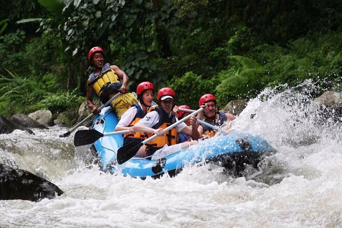 Ubud White Water Rafting with Waterfall and Lunch - Key Highlights You Should Know
