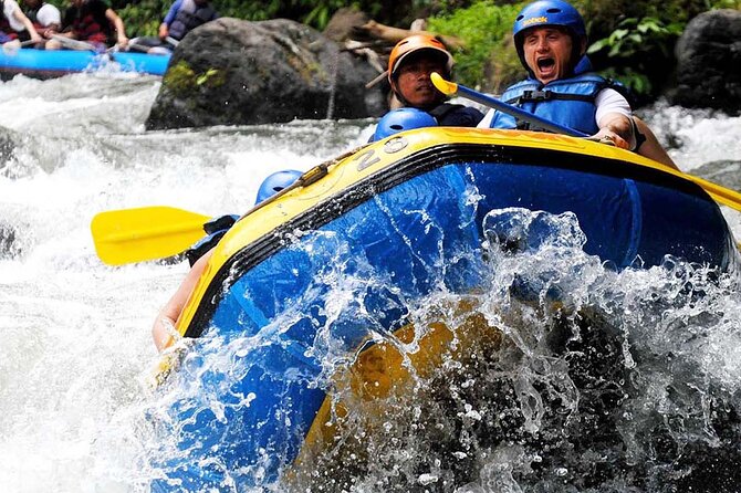 Ubud White Water Rafting with Waterfall and Lunch - The Step Count: The One Part You Can’t Ignore