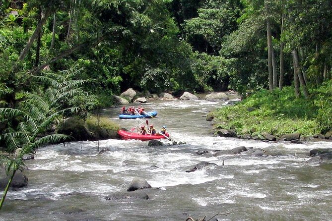 Ubud White Water Rafting with Waterfall and Lunch - Showers, Towels, and Toiletries: Cleaning Up Without Turning It Into a Project