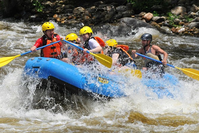 Ubud White Water Rafting with Waterfall and Lunch - Who This Ubud Rafting Trip Fits Best