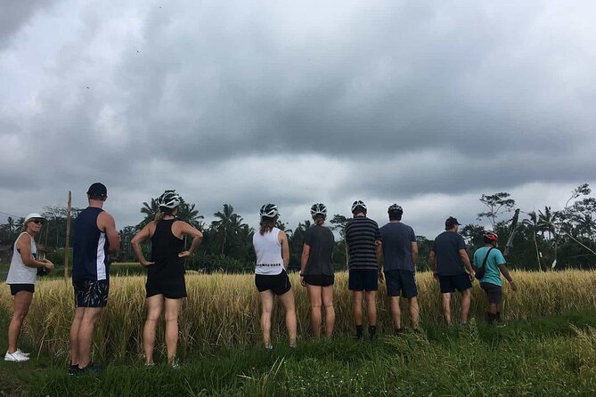 Ubud Wonderful Half Day Downhill Cycling Tour with Lunch - Value check: is $45 worth it in Ubud?