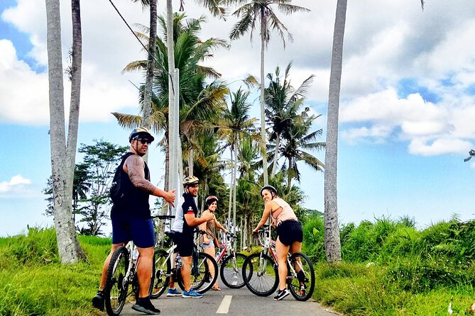 Ubud Wonderful Half Day Downhill Cycling Tour with Lunch - Practical tips to make the ride feel comfortable