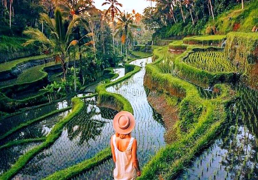 Ubud: Zip-line Adventure, River Rafting & Rice Terraces Tour - Lunch after rafting: hearty fuel with river or jungle views