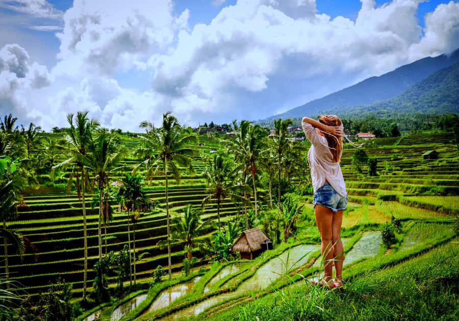 Ubud: Zip-line Adventure, River Rafting & Rice Terraces Tour - Tegallalang rice terraces and Subak irrigation: photos plus real context