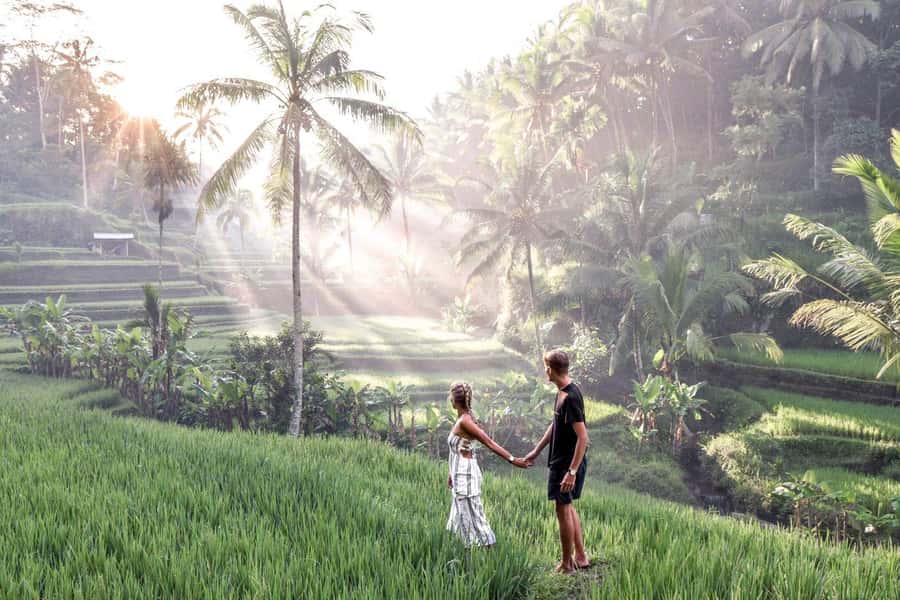 Ubud: Zip-line Adventure, River Rafting & Rice Terraces Tour - Zip-line over the Ubud jungle: short flight, big views, good safety