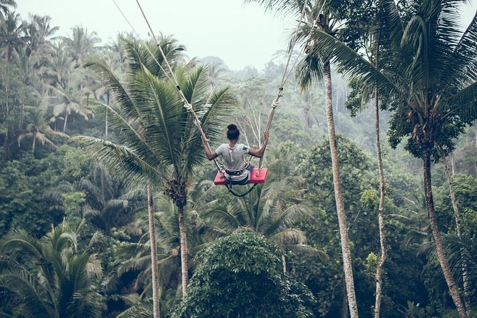 Ultimate Ubud - A fast Ubud sampler: pickup to drop-off in about 10 hours