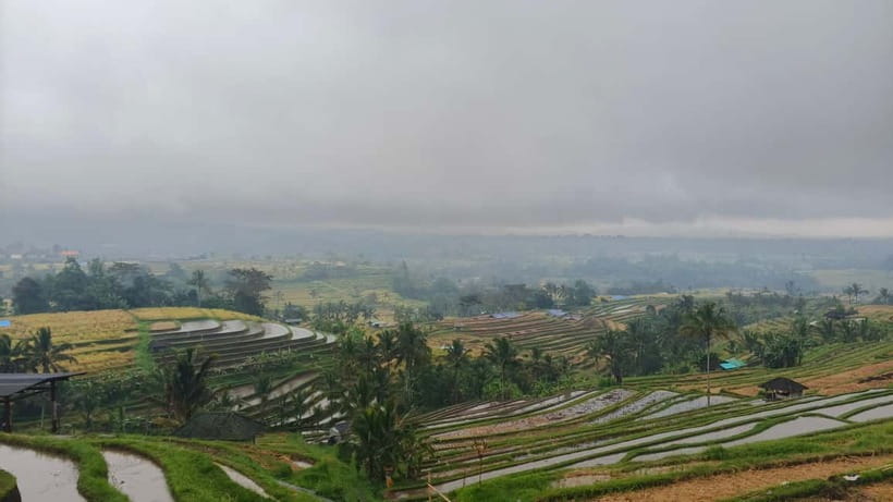 Ulun Danu Beratan Temple, Jatiluwih, Banyumala waterfall - How the day flows: pickup, route logic, and weather changes