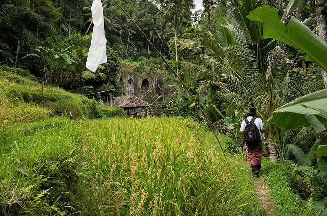 UNESCO Sites Cultural Walking Tour in Bali - Morning Logistics in Ubud: Pickup, Timing, and Group Size