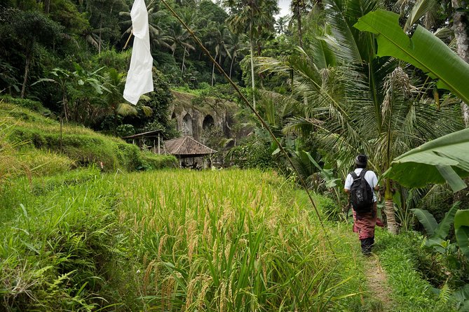 UNESCO Sites Cultural Walking Tour in Bali - Stop 1: Tirta Empul Temple and the Purification Ritual Details