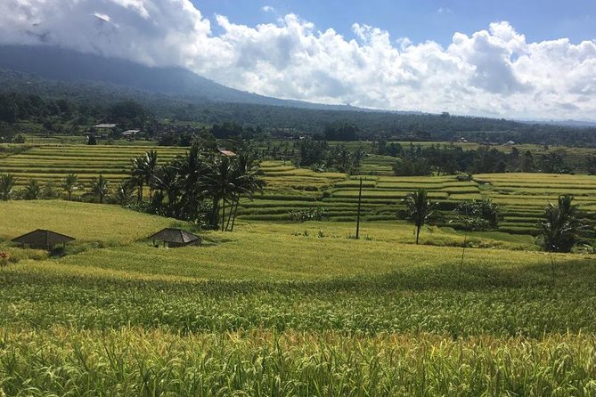 UNESCO World Heritage Tour - The UNESCO Thread From Ubud to Northern Bali