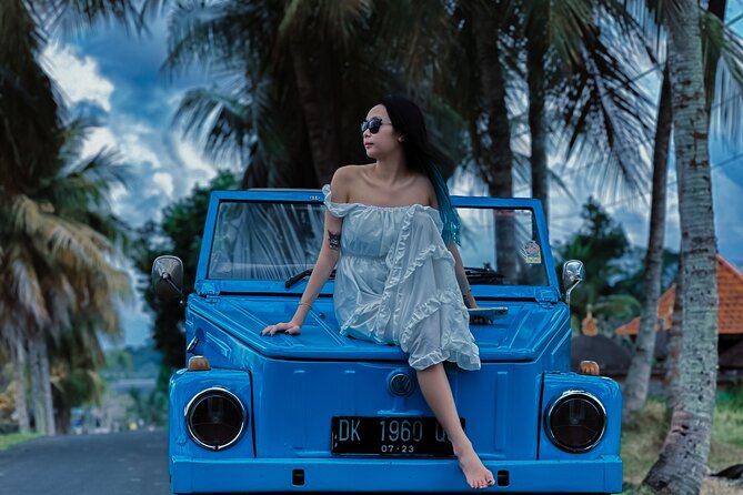 Vintage Volkswagen Bali Tour - Vintage Volkswagen Bali Tour: the Ubud route in one smooth day