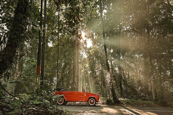 Vintage Volkswagen Bali Tour - Stop 4: Delodsema Traditional Village (Tegallalang) and craft culture