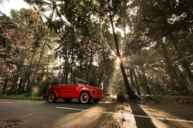 Vintage Volkswagen Bali Tour - Stop 5: Pura Agung Gunung Raung Taro for the big gate finale