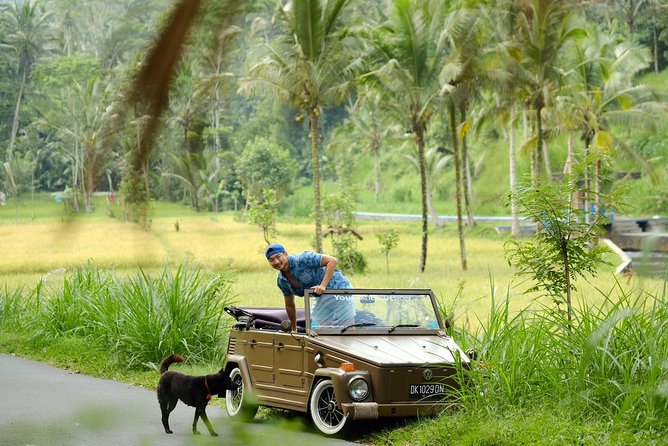 Visit Rice terrace, Beratan temple, waterfall by Vantage Volkswagen 181 - Stop 1: Nungnung Waterfall—big views, plan for the walking