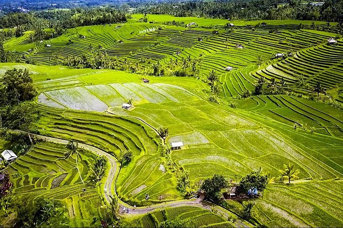 Visit Rice terrace, Beratan temple, waterfall by Vantage Volkswagen 181 - Stop 4: Lake Beratan for the pagoda temple look