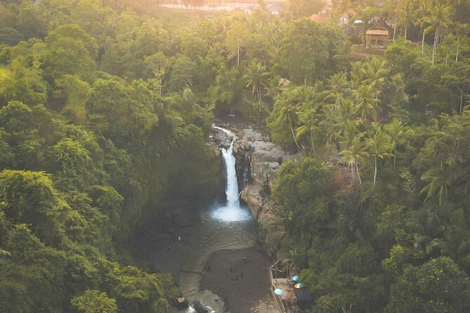Volcano Bali Tour with Ubud Village - Tegenungan Waterfall - Rice Terrace - Tegalalang Rice Terrace: time to see the layers