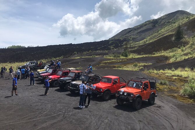 Volcano Jeep Adventure and Ubud Tour - Stop 4: d’Alas swing in Ubud—fun viewpoint, time-boxed