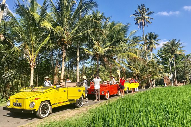 VW Safari,Bayan Ancient Tree,Jatiluwih,Wanagiri,Banyumala Twin Waterfalls - Bali’s Hill Country, but Make It Retro: The VW Safari Feel