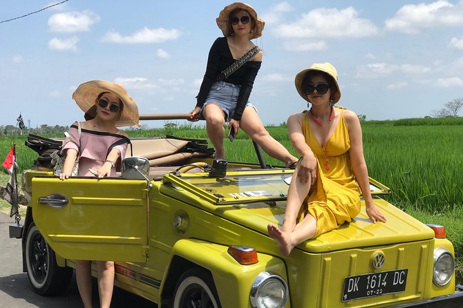 VW Safari,Bayan Ancient Tree,Jatiluwih,Wanagiri,Banyumala Twin Waterfalls - Stop 4: Banyumala Twin Waterfalls and the Jungle Lagoon Swim
