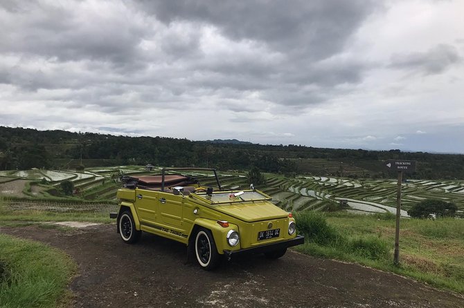 VW Safari,Bayan Ancient Tree,Jatiluwih,Wanagiri,Banyumala Twin Waterfalls - Value for $89: What You Actually Pay For