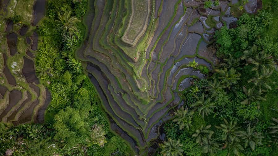 Wanderlust birthday photo and video with drone and Editing - Price and extras: $80 per person plus the bits you should plan for