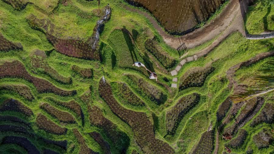 Wanderlust birthday photo and video with drone and Editing - Aloha Ubud Swing: fun content, but budget for the swing