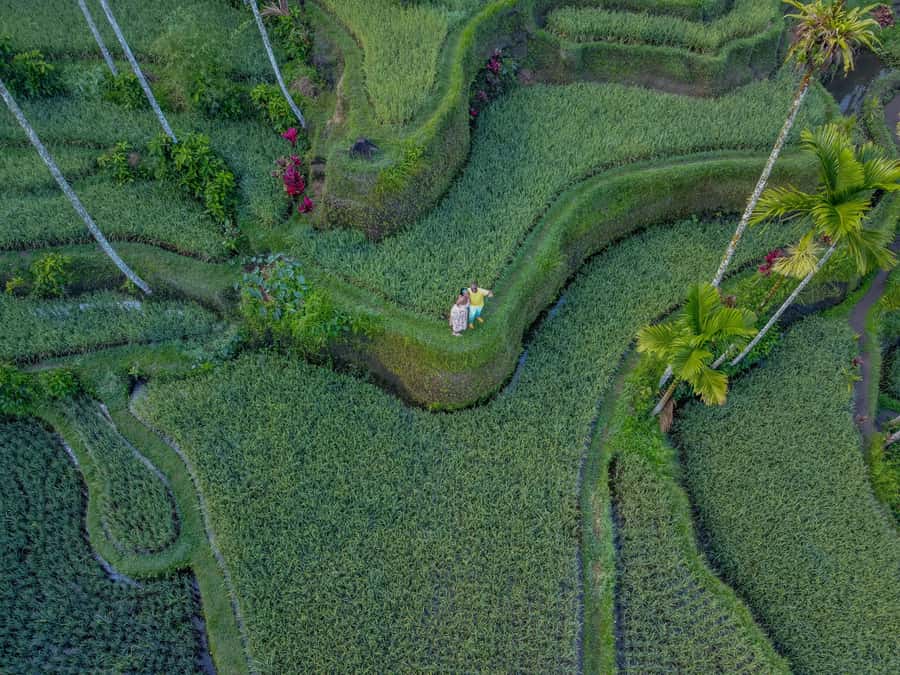 Wanderlust birthday photo and video with drone and Editing - Coffee plantation walk: the calm break that makes photos feel real