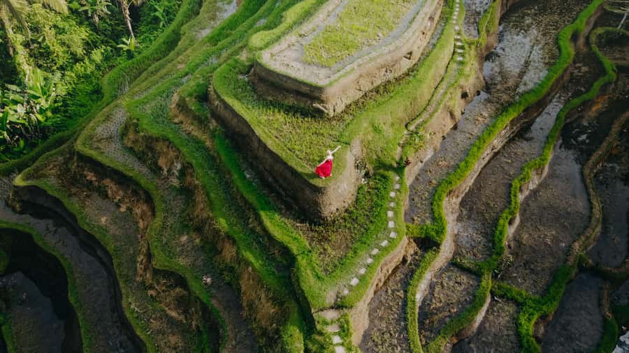 Wanderlust birthday photo and video with drone and Editing - Pepito Market Andong: How the session flows (and where you’ll end up)